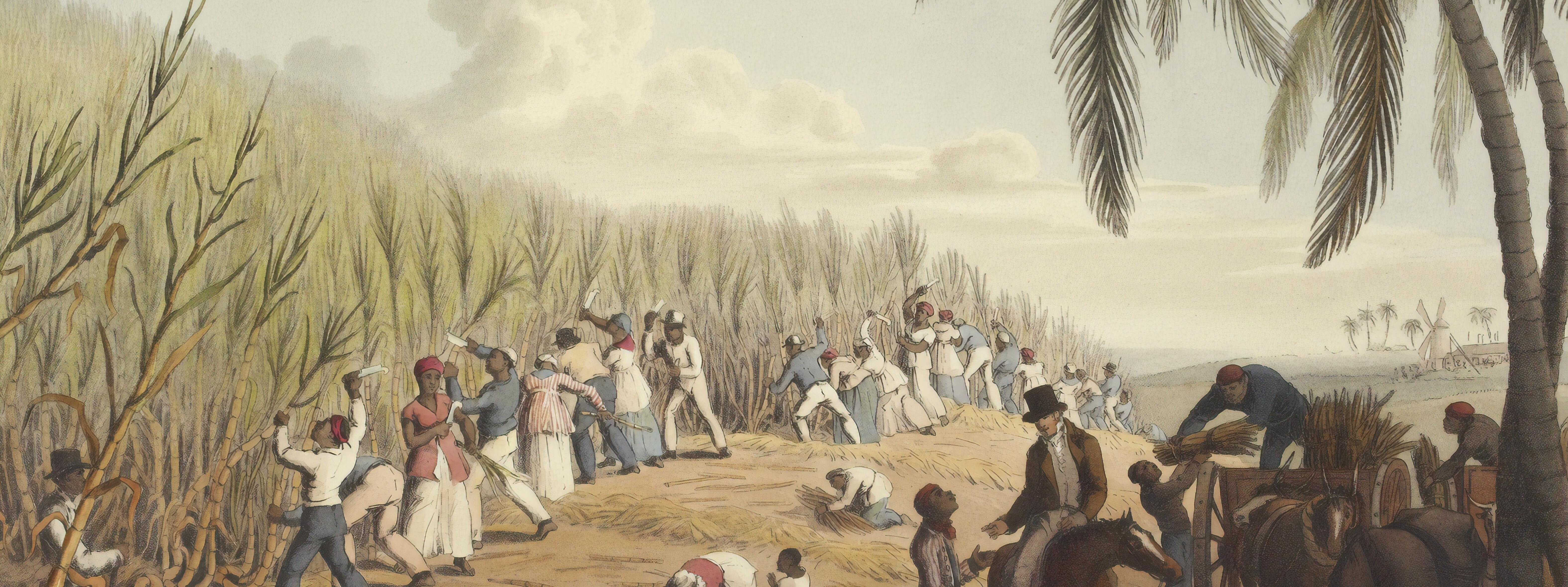 Vemos una ilustración mostrando la situación de esclavitud en la antigüedad,  un grupo de personas está trabajando en un campo, vemos personas que fiscalizan su trabajo.